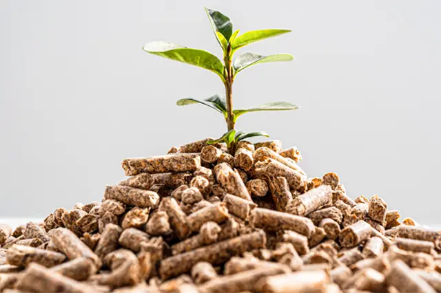 Pelletheizung – Nachhaltig mit Holz als Energiequelle